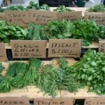 60 Uses of Herbs