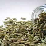 25 uses of fennel seeds