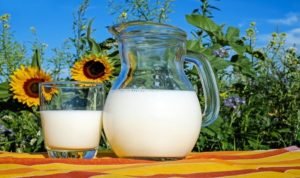 Read more about the article 10 Uses of Milk