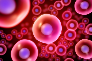 Read more about the article 15 uses of stem cells