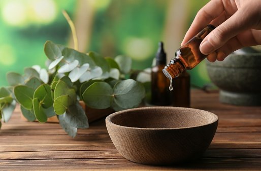 You are currently viewing Uses of Eucalyptus Oil