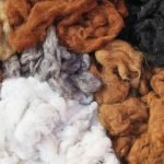 Read more about the article Uses of Wool
