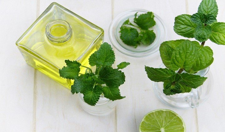 You are currently viewing 100 Uses of Peppermint Oil