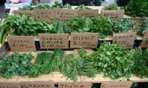 60 Uses of Herbs
