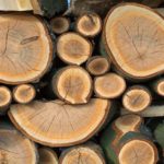 Read more about the article 10 uses of wood