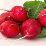Read more about the article 9 Uses of radish