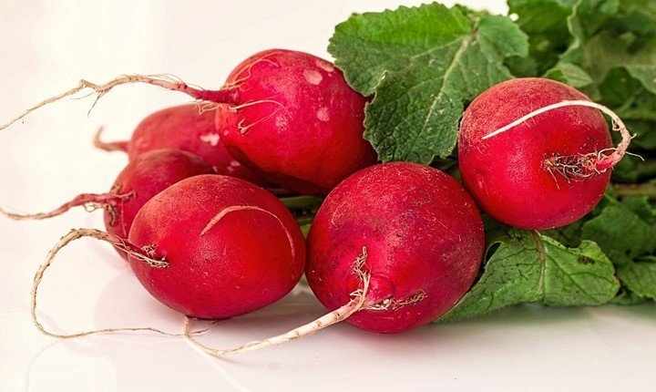 9 Uses of radish