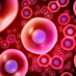 Read more about the article 15 uses of stem cells