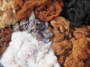 Read more about the article Uses of Wool