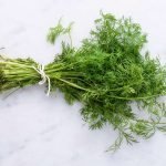 Read more about the article 100 uses of dill